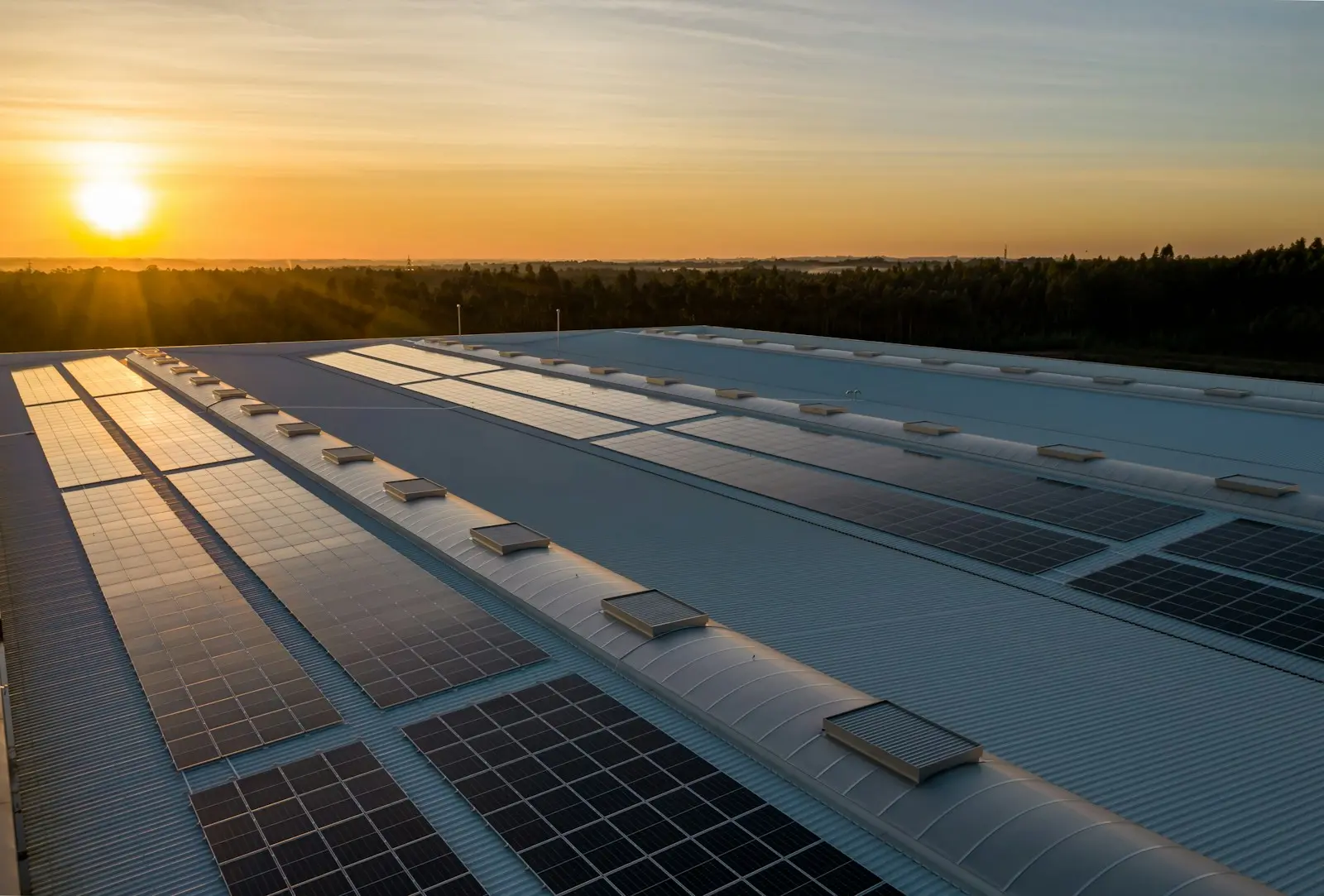 Tejado cubierto de placas solares al atardecer